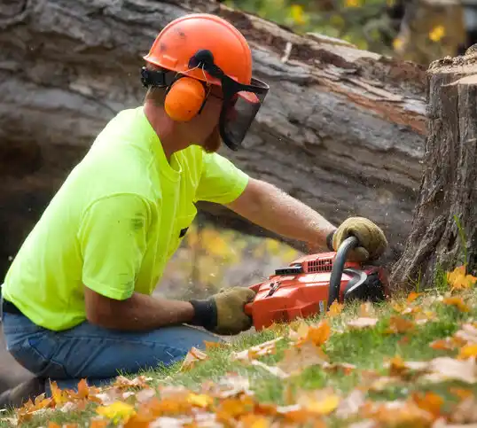 tree services Cullen